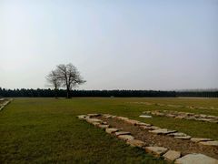 -汉景帝阳陵博物院