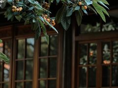 -道南書院·私房菜·早午茶·茶馆