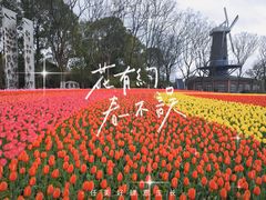 -上海鲜花港