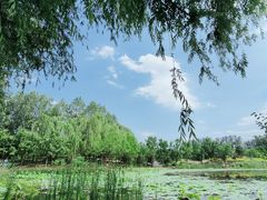 -东郊湿地公园