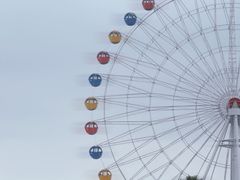 -中澳友谊花园