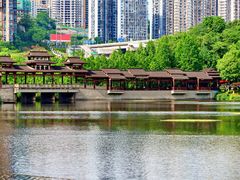 -重庆彩云湖湿地公园
