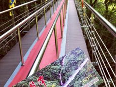 -宁波五龙潭景区