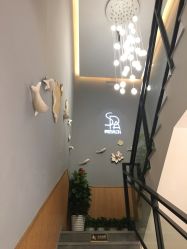 -京世沙龙