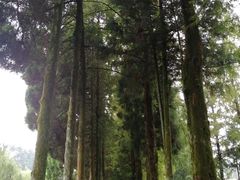 -井冈山风景名胜区
