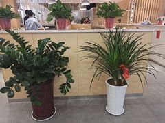 -杨翔豆皮涮牛肚(万和城店)