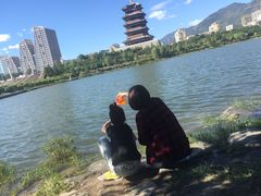 -门城湖公园