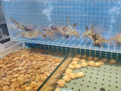 -冀粤香海鲜自助餐厅(西美五洲店)