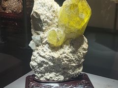 -湖南省地质博物馆