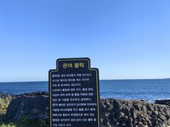 -涉地可支