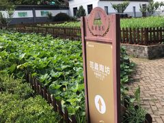 -陶祖圣境风景区