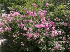 -七里庄(地铁站)