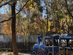 -回龙观体育文化公园