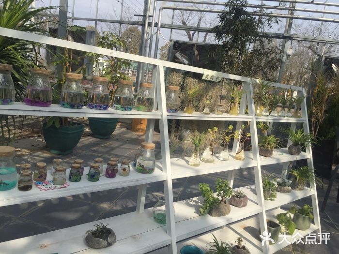 三清洞摩西韩式年糕火锅(威高广场店)图片