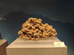 -贵州省地质博物馆