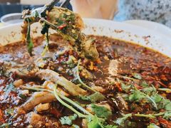 -胖大姐黄辣丁鱼庄(新津店)