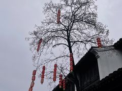 -仓桥直街