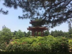 -大雁塔文化休闲景区-北广场