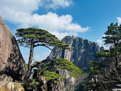 -黄山风景区