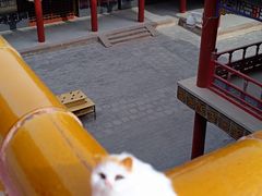 -普陀宗乘之庙(小布达拉宫)