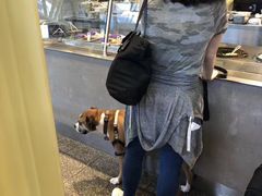 -罗纳德·里根华盛顿国家机场