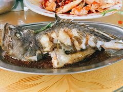 东星斑-三亚新鸿港水果一级批发市场