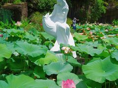 -广州莲花山旅游区