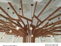 -ChanDu躔度咖啡(灯塔店)