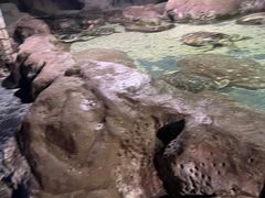 -南昌海洋公园