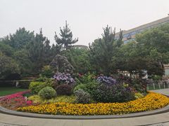 -常州古运河南大街文化旅游区-人民公园