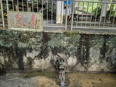 -长寿村