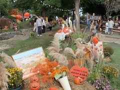 -HERRE·FARM 赫尔露营农场·团建聚会包场