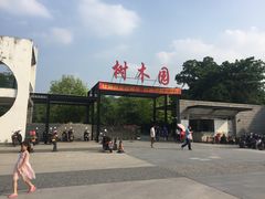 -中山市树木园