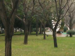 -唐城墙遗址公园