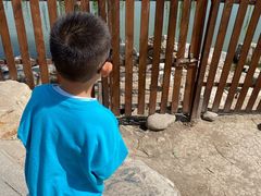 -天津东丽湖风景区