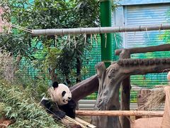 -灵玲国际马戏城