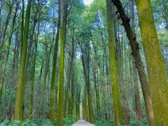 -同里国家湿地公园