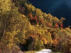 -叠溪松坪沟景区