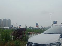 -大胖虎驾考驾校(郭巷训练场)