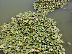 -公益图书馆(江南大学店)