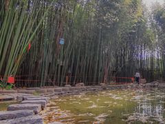 -竹泉村旅游度假区