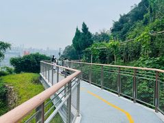 -龙泉洞(沙坪坝区)