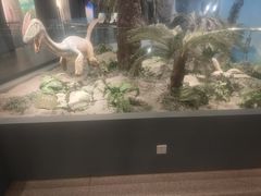 -辽宁古生物博物馆
