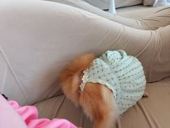 -怪兽屋·羊驼·猫咖·狗咖(俊华广场店)