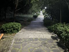 -太子山公园(园东路)