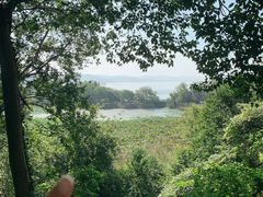 -上海市保健医疗中心