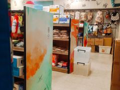 -神采飞扬宠物美容(香港路店)