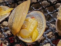 -范儿·嫂子烤肉·精致炭火烤肉(长治路店)