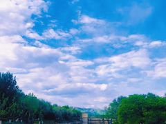 -北京张裕爱斐堡酒庄