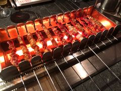 -邢氏老太太烧烤(罗湖店)